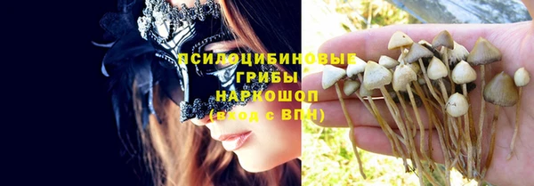экстази Алексин