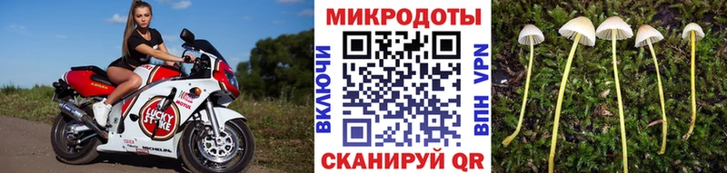 Галлюциногенные грибы мухоморы  Венёв 