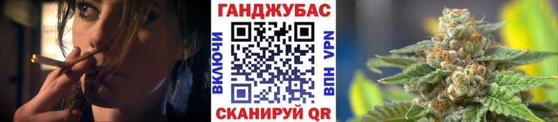 Каннабис сатива  купить   Венёв 