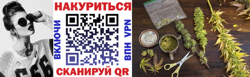 Канабис сатива Венёв